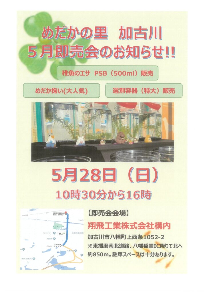 イベント開催！～めだかの里　5月即売会～